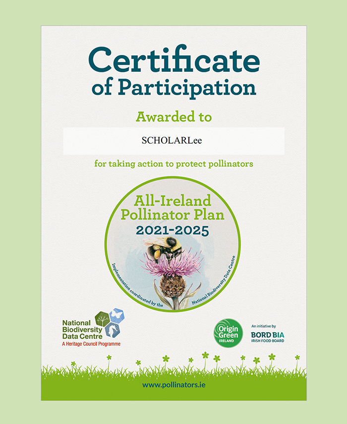 Certificate of Participation - ScholarLee